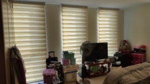 window blinds